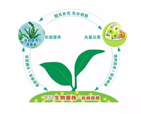 認識鼎微 土壤修復中的重要合成微生物菌劑