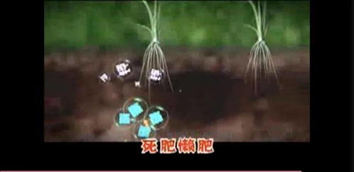 金坷垃真實成分與土壤修復的科學解讀